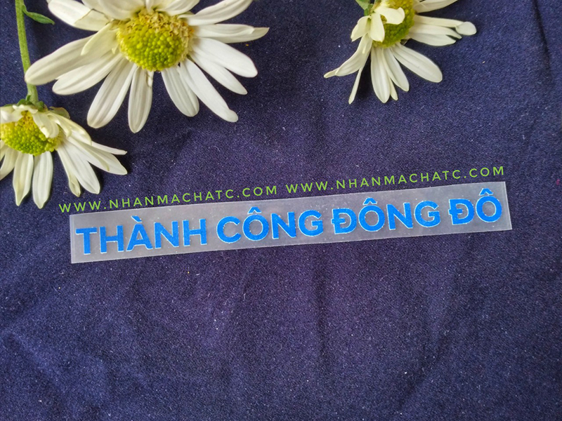 logo thanh cong dong do