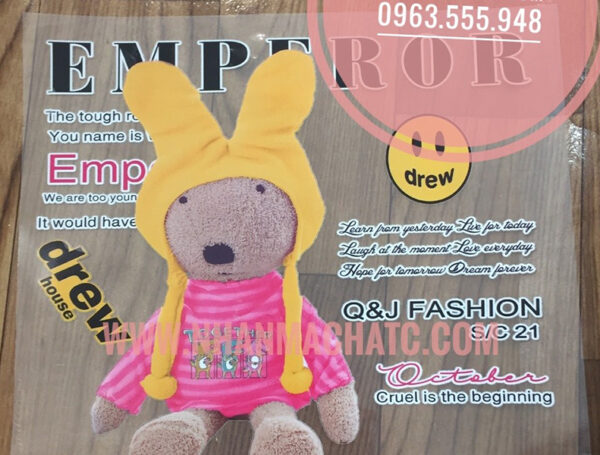 In Pet Chuyển Nhiệt Đẹp Rẻ Tại Hà Nội