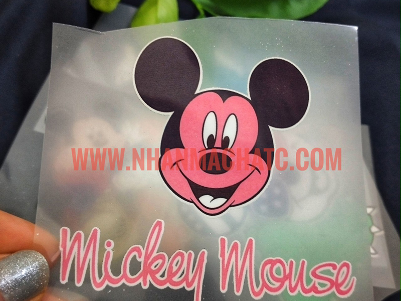 Hinh in ao mickey mouse
